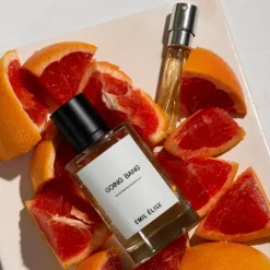 Emil Élise Unisex Perfume | Perfume For Him | Going Bang