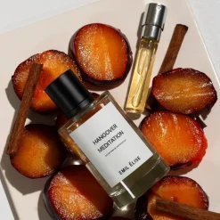 Emil Élise Unisex Perfume | Perfume For Him | Hangover Meditation